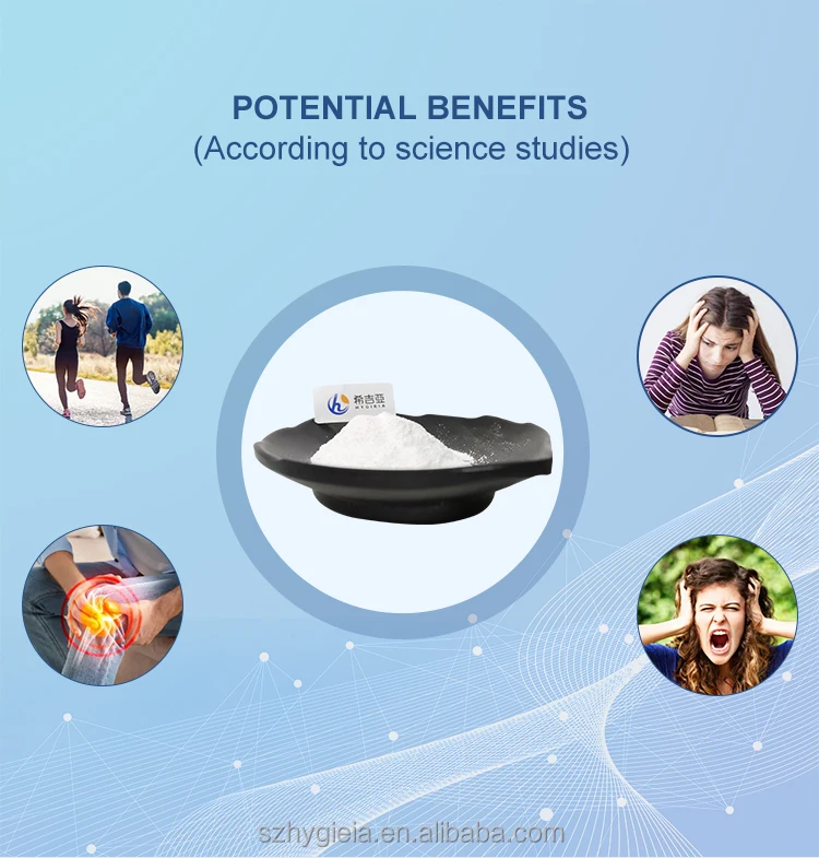 Food Grade with Top Quality and High Purity CAS 28319-77-9 Purity 90% 50% Alpha GPC