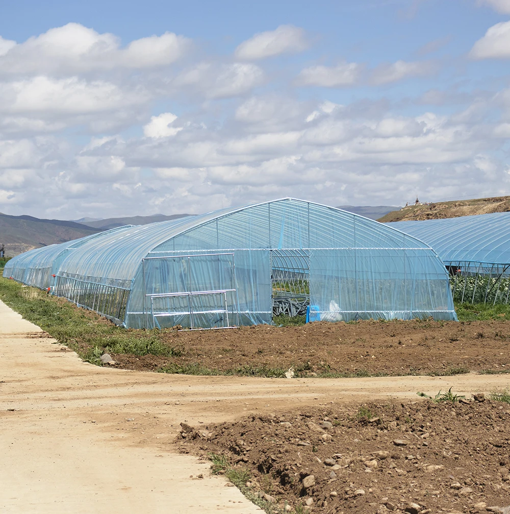 Baolida Plastic Film Green House Metal Hotehosue Frame Tunnel With Plastic Covering