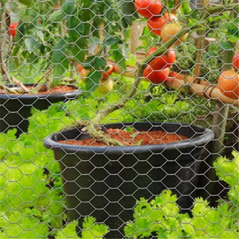 0.4mm 0.7mm Reinforcing Heavy Duty 1 Inch Galvanized Mesh For Cage Bird Rabbit Chicken Monkey Chicken Mesh