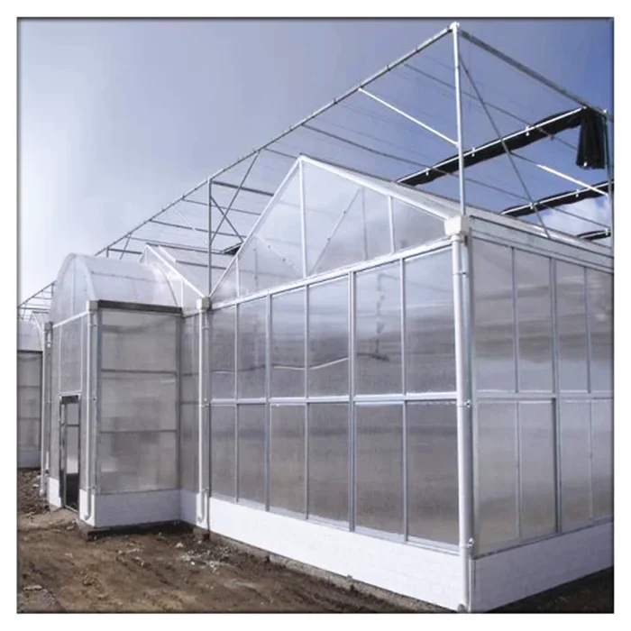 China Factory Commercial Agricultural Vegetable Fruit Flowers Galvanized Steel Frame Polycarbonate Greenhouses