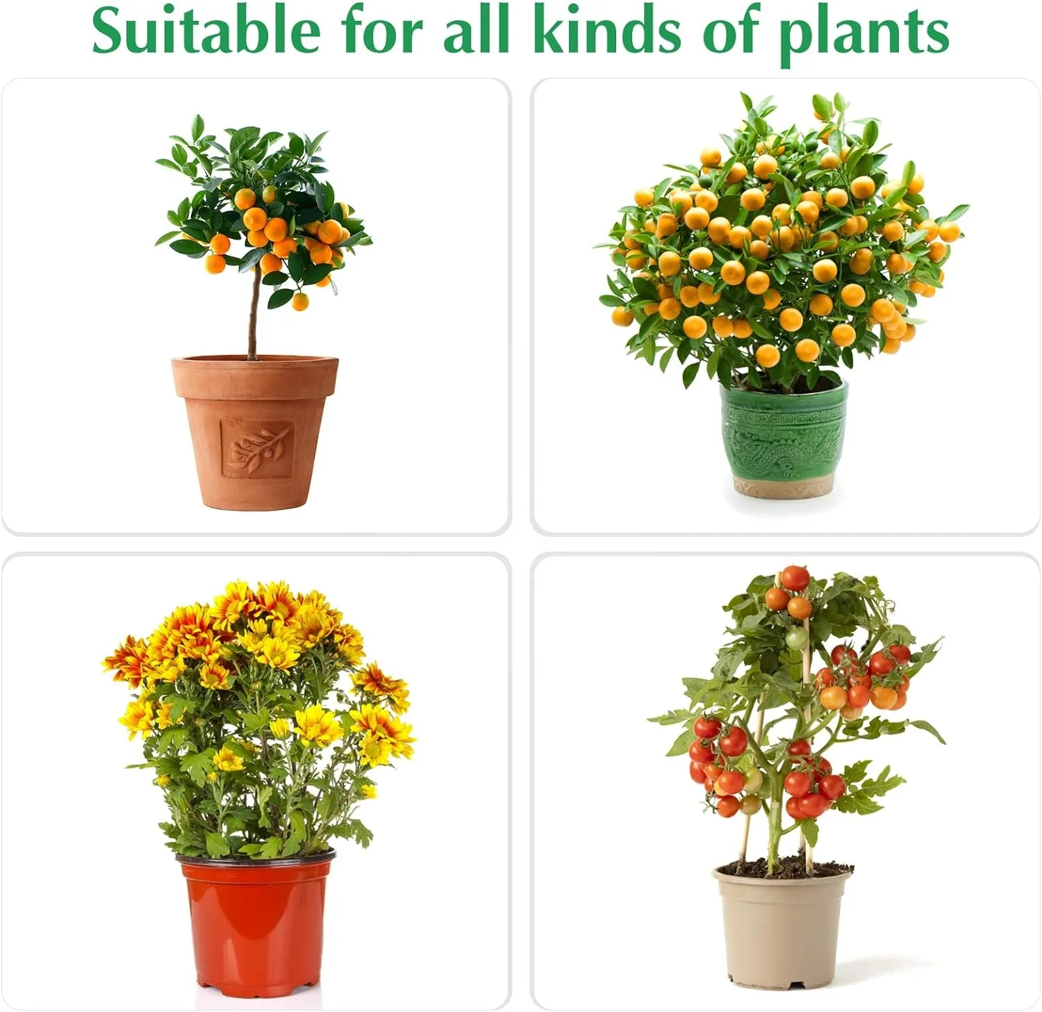 Garden Fruit Cover Mesh Bags with Drawstring for Plant Fruit Flower and Vegetables