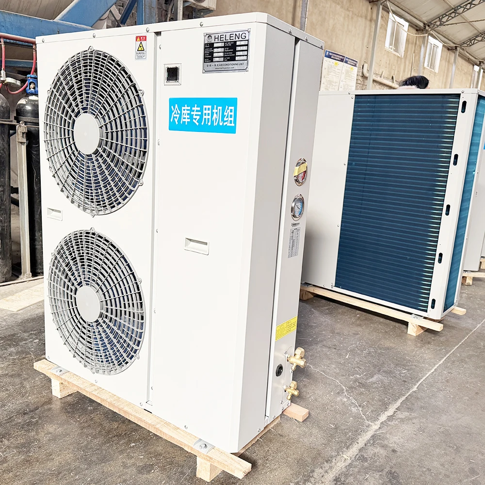 Energy-saving Cold Storage Freezer Refrigeration All-in-one Condenser Compressor Unit For Cold Room