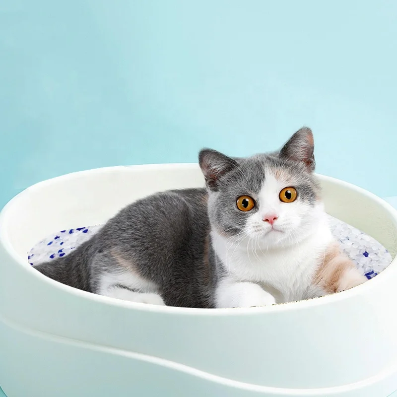 Silica Gel Sand Filler Clean with Blue Prtical Crystal Cat Litter for Cat Toilet Cleaning
