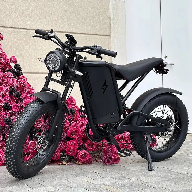 20-Inch Retro Spoke Wheel Electric Bicycle with Wide Off-Road Fat Tire Pedal Assist Steel Frame 48V Voltage Snowy Look