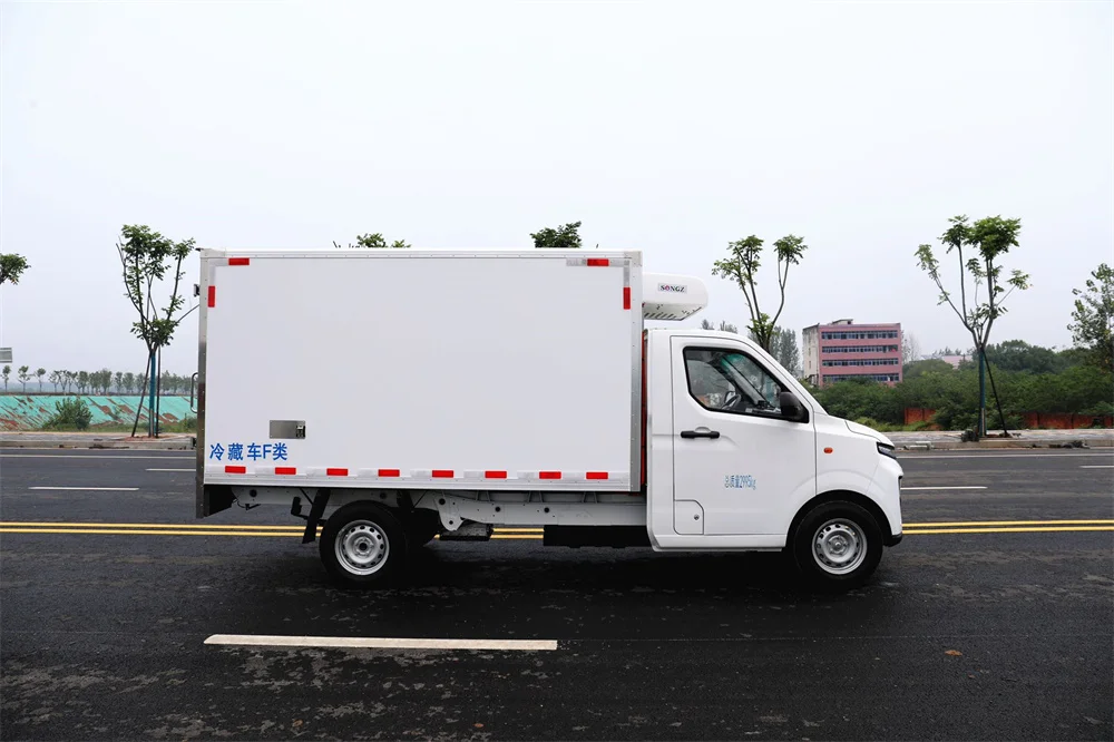 MINI EV Geely  Refrigerator truck | refrigerated trucks for Sale  7.2 cubic meter  +20 ~  -18°C transport food meat fish