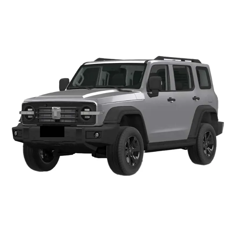 Китайский автомобиль большая стена лидер продаж в наличии бензиновый бак 300 автомобиля внедорожник новые автомобили для продажи