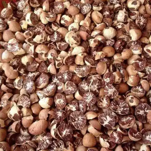 Split Lalee fresh crop good cut organic raw betel nut for sale