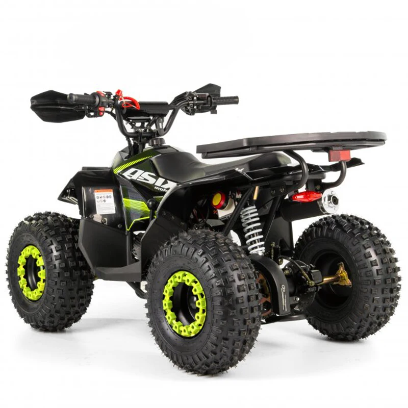 Tao Motor 2024 Kid Automatic with Reverse Chain Drive Mini Quad Bike 110cc ATV for Children