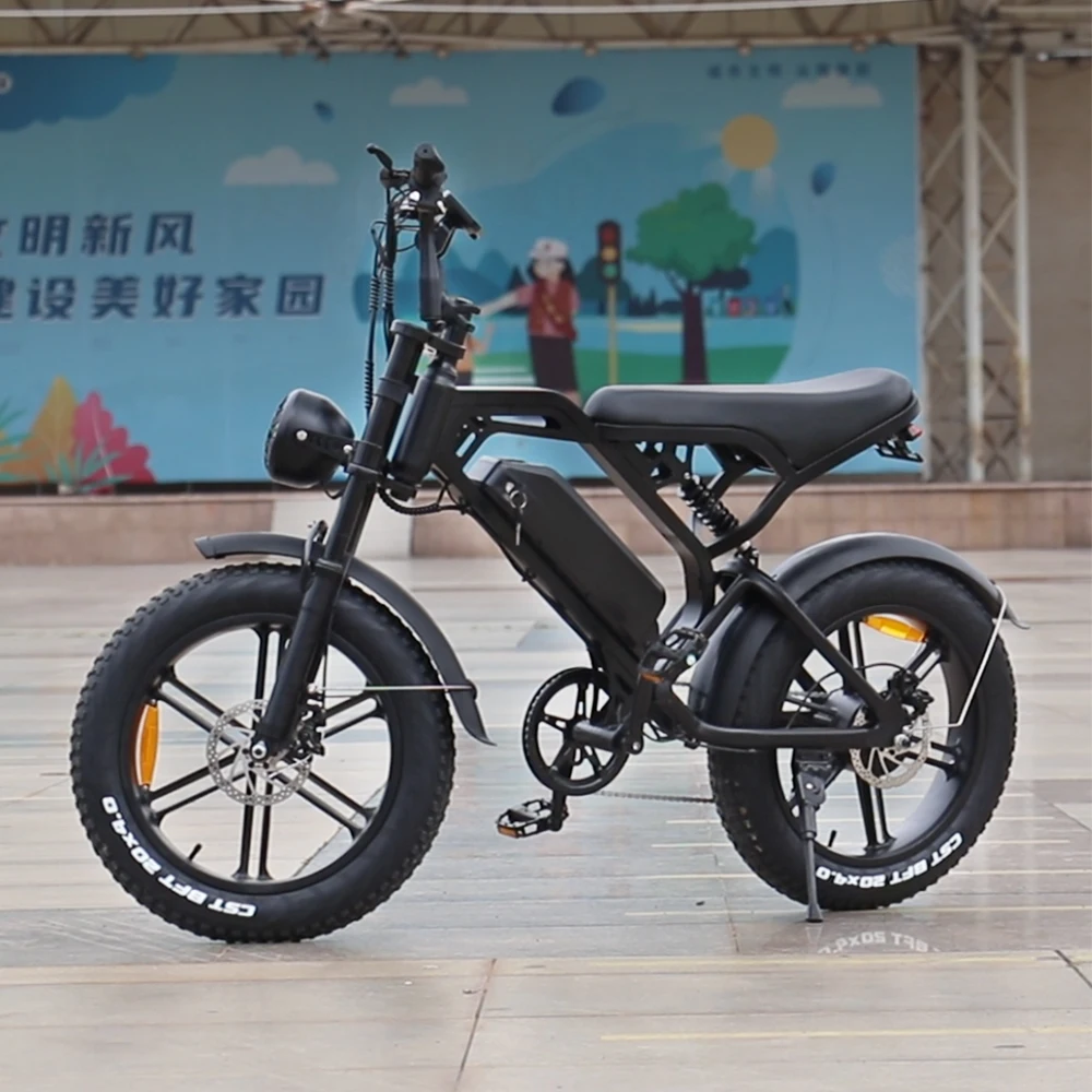 Oem China Electric Bicycle Price Electric Bicycle 29 Inch 1000w E-bike Display Electric Bicycle Sales
