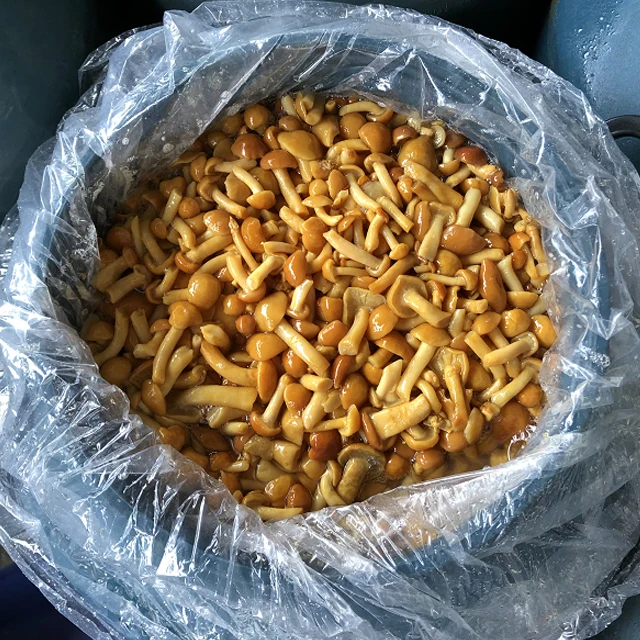  Варенный гриб nameko в рассоле барабанах