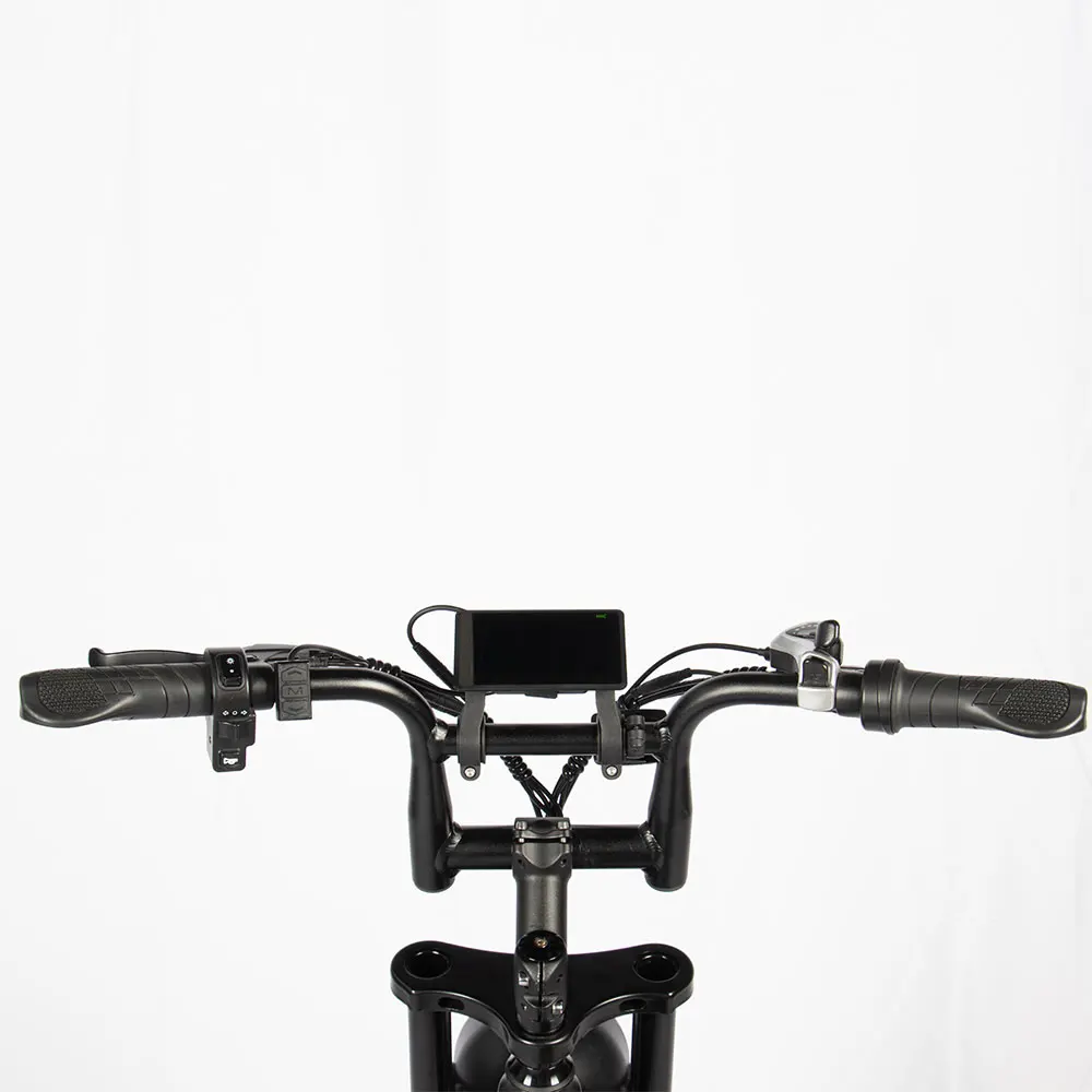 Netherlands E-Bike 48v 250watt 750w E Bike Electric Bike Fat Tire Dirt Ebike for Adults Men Sales Electric Bicycle