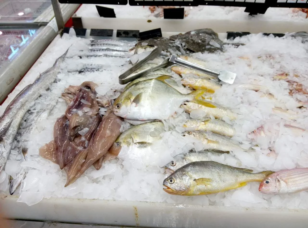 New design industrial 10 tons flake ice machine 10000kg/day flake ice plant good price