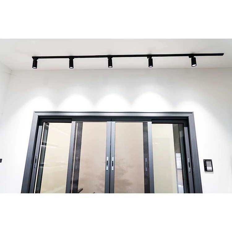 Top Aluminium 160 Profile Bottom Felt Seals Mosquito Netting Roller Single Pane Handle For Shutter Lock With C2 Sliding Window