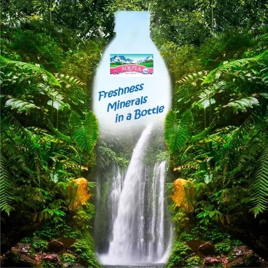 
AQUILA Mineral Water in PET Bottle from Indonesia Origin are The Best Choice 0.33L 