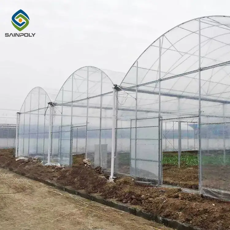 Sainpoly Agricultural Greenhouses Plastic Films Green Large Small Sizes