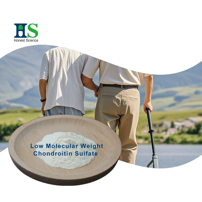 Low Molecular Weight Chondroitin Sulfate Sodium Powder