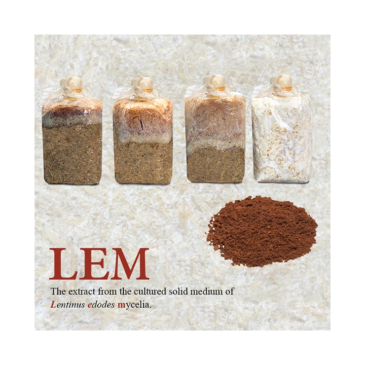 Medical care antioxidation anti-cancer shiitake mushroom mycelium