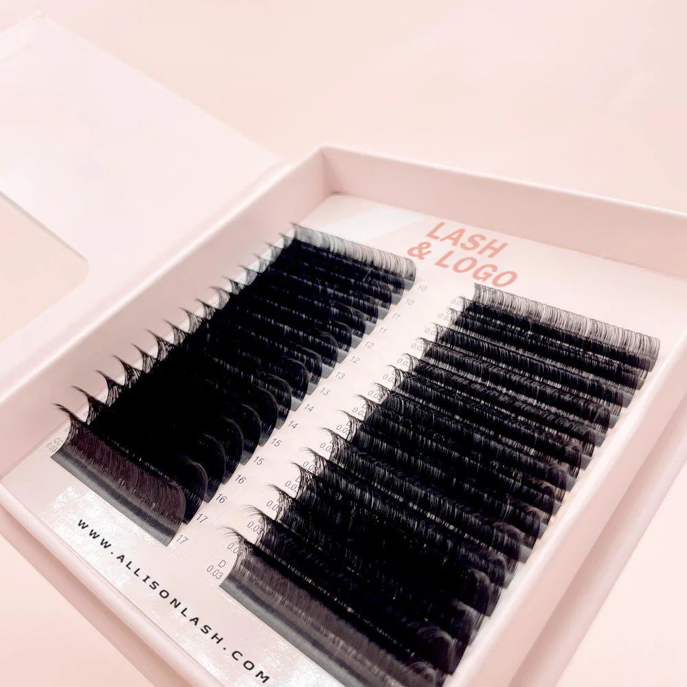Wholesale 6-25mm 0.03mm0.05mm 0.07mm C Cc D Dd Curl Matte Black Eyelash Extensions Custom Logo Russian Volume Lash Extension