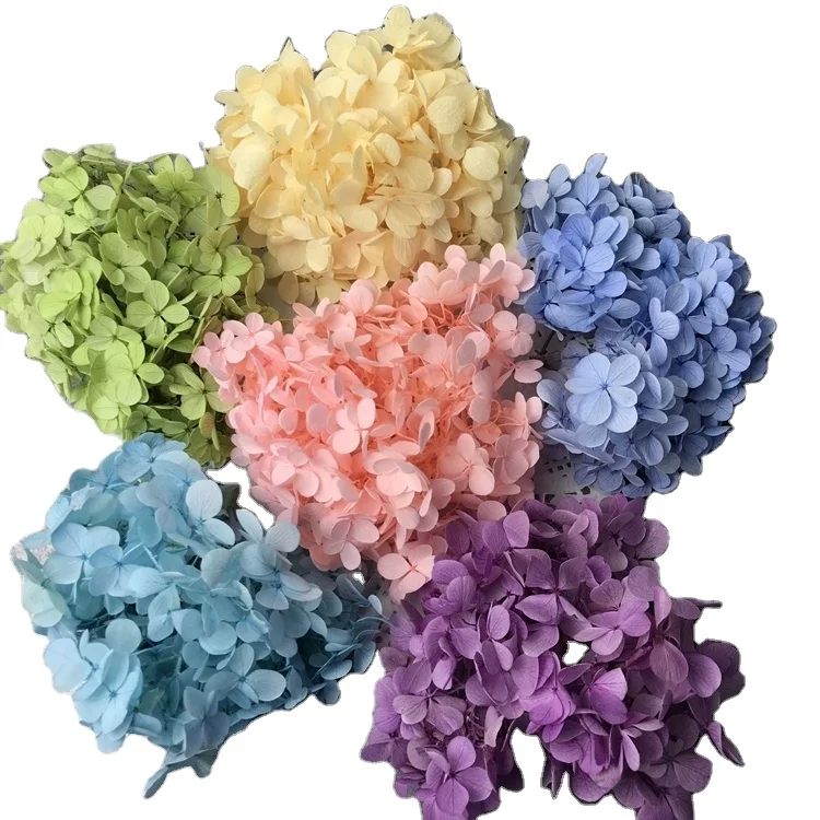 Preserved Hydrangea real touch for home decor bouquet eternal flowers dried flowers