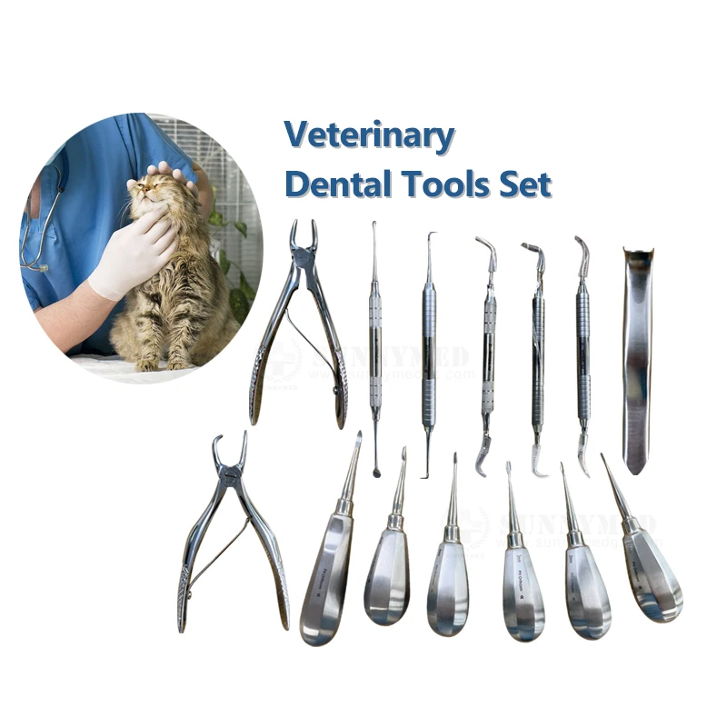 SY-W064 Veterinary Surgery Set Veterinary Surgical Kit for Veterinary Mouth Examination Dental Tool Set