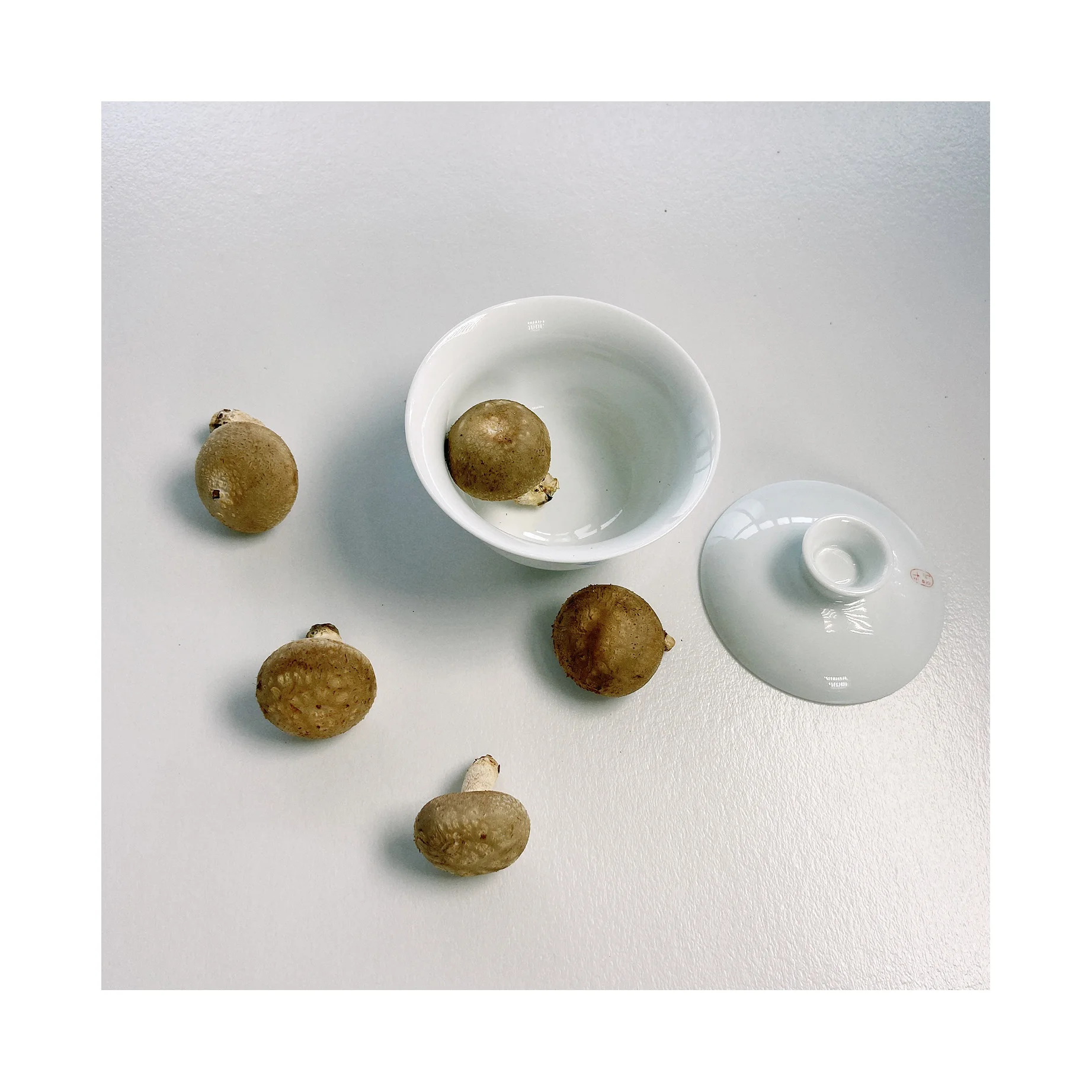 Лидер продаж, легкие грибы Shiitake в подарочной коробке