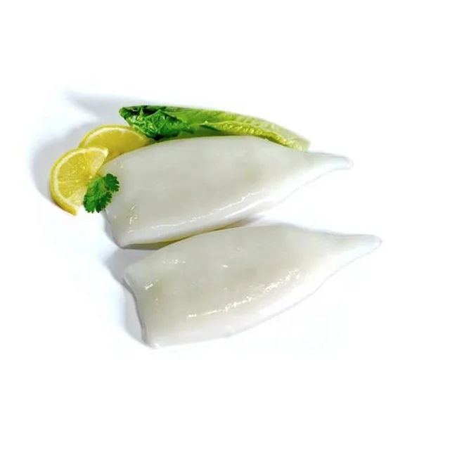 Best sale Seafood Squid Frozen Squid Tube
