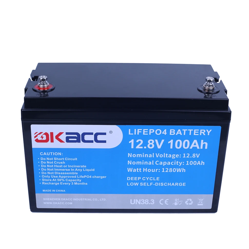 Deep Cycle Lithium Iron Phosphate Batteries Pack built-in BMS 12.8V  Batterie 12V100ah 12V 100Ah Lifepo4 Battery