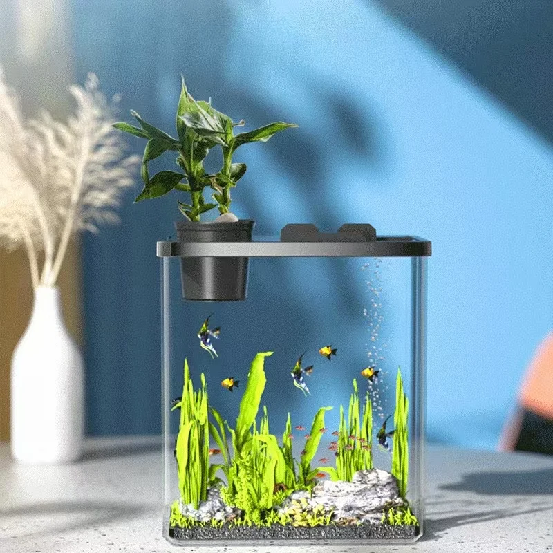 Transparent Acrylic Fish tank Ornamental Aquarium Landscaping with Cover Living Room Small Desktop Medium Size