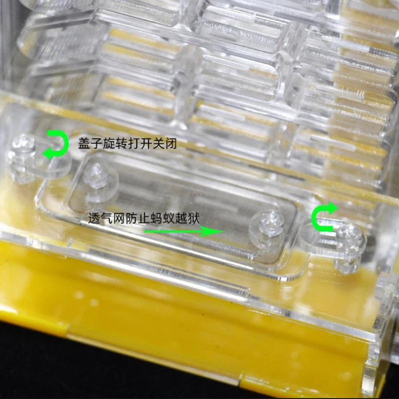 Popular made Ant Feeding BoxAcrylic Ant Nest Farm workshop with Feeding Habitat Area