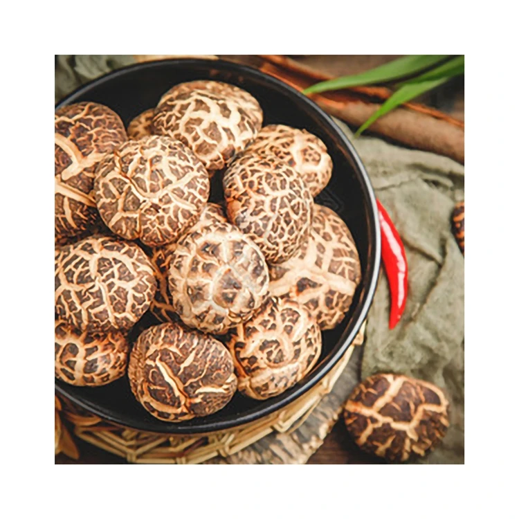 
Supplier Wholesale Healthy Delicious Family Food Mushrooms Dried Shiitake Mushroom 