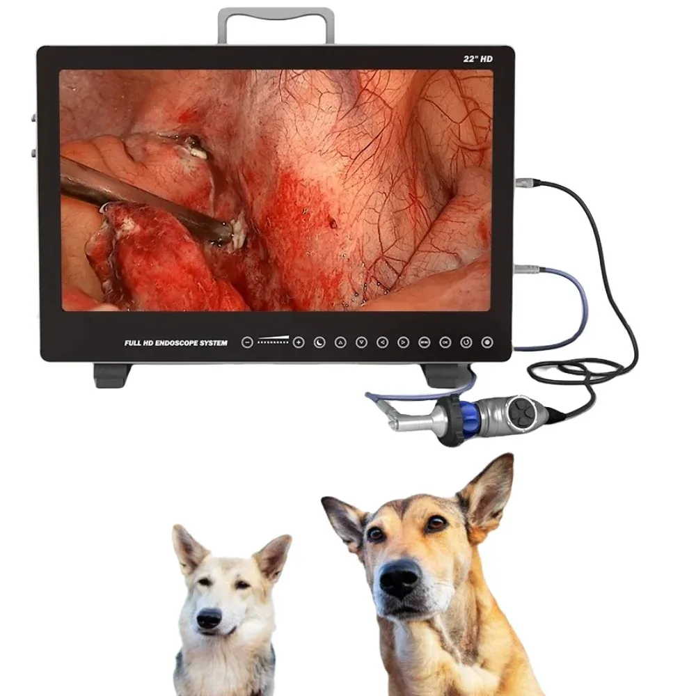 Endoscope Camera System For Horse Cattle Dog Portable 22 Inch HD Orthopedic Laparoscopy Video Endoscopy Veterinary Surgery