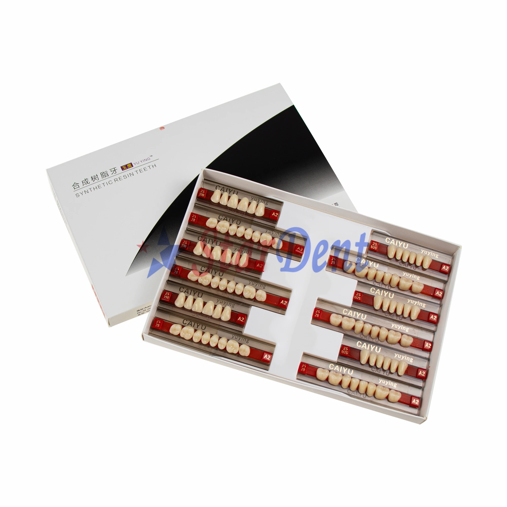 High Quality Dental Full Set (28PCS/set) Caiyu Synthetic Resin Teeth with Two-Layer Color Series