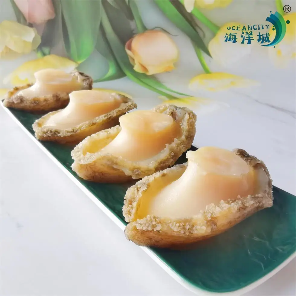 Wholesale High Quality Abalone Frozen Dried Abalone Chinese Suppliers  For Sale
