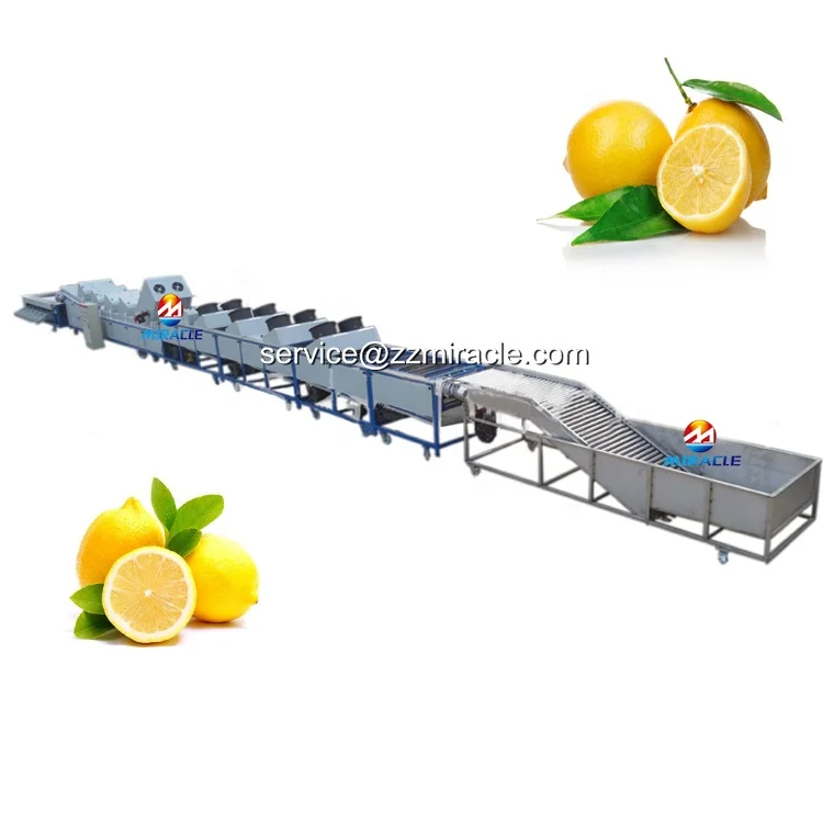 Оранжевая линия для очистки воском оранжевая сортировочная машина