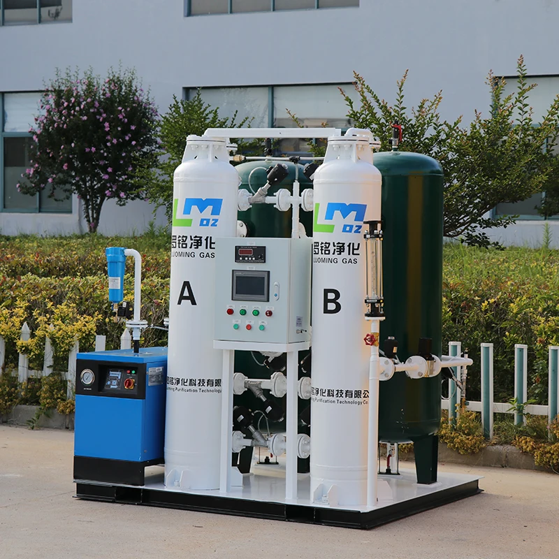 Energy-Saving Nitrogen Gas Generator Psa Nitrogen Generator for Chemical and Industry with ISO9001/ CE Certificate