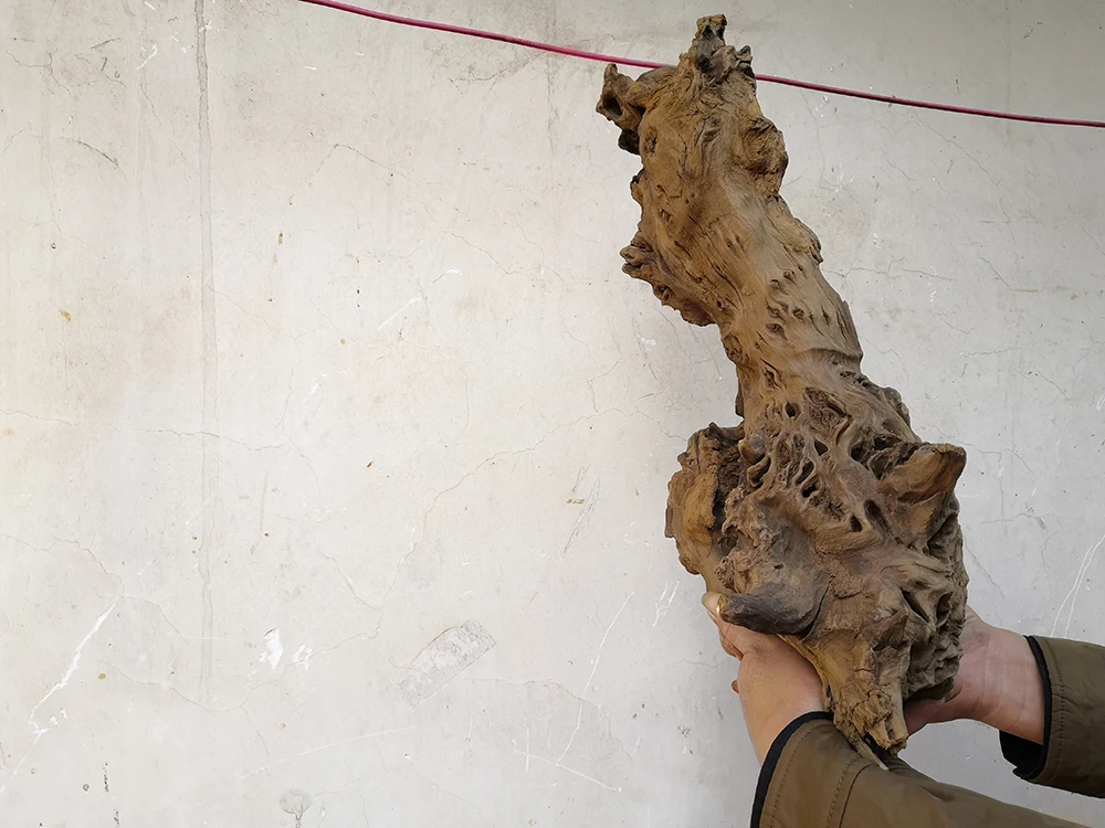 Decorative driftwood bonsai mangrove aquarium driftwood quality products