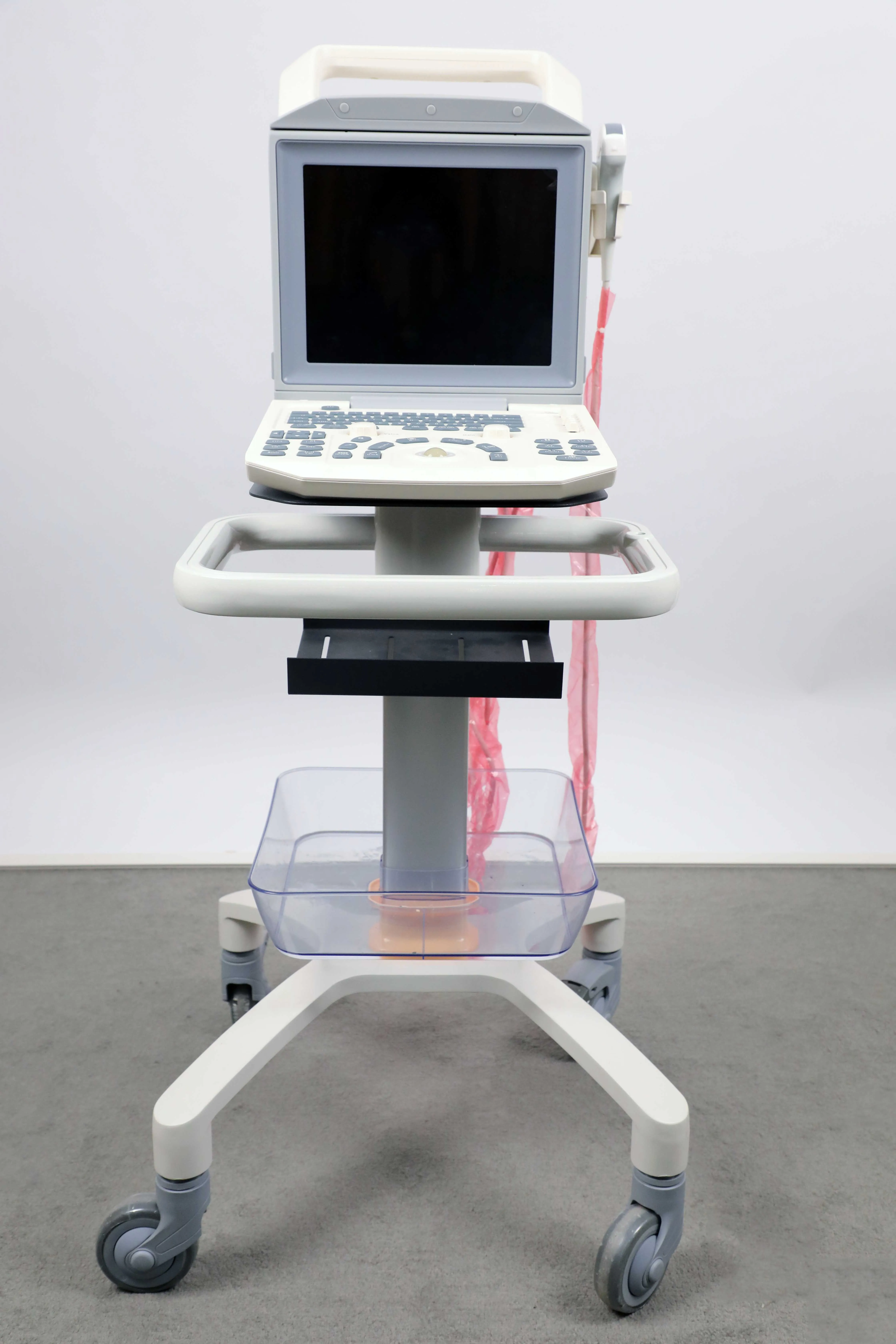 Portable Black and White Vet Ultrasound Scanner Machine Price Ultrasound for Animal