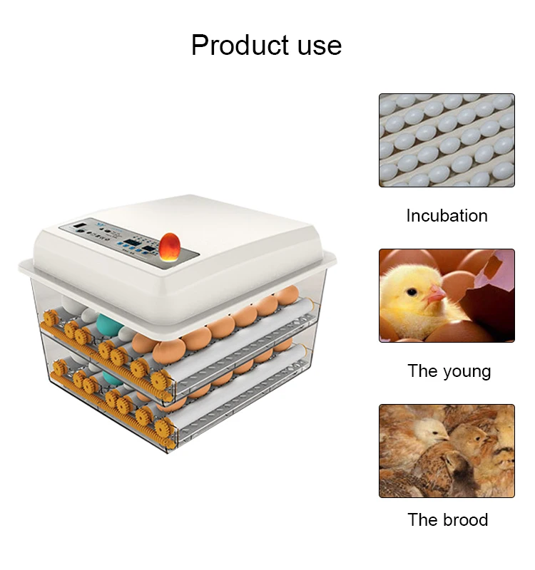 new hot selling products fish egg incubator 200 chicken egg hatching machine for sell