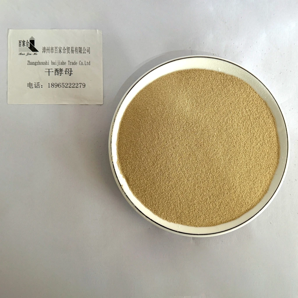 Sale Professional Baking Low Sugar Yeast Quick Release Powder High Activity Low Sugar Dry Yeast