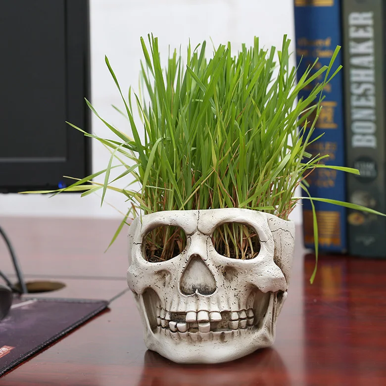  Прямая продажа с фабрики Hallowen новый цветочный горшок из смолы для растений креативные домашние/уличные украшения черепов