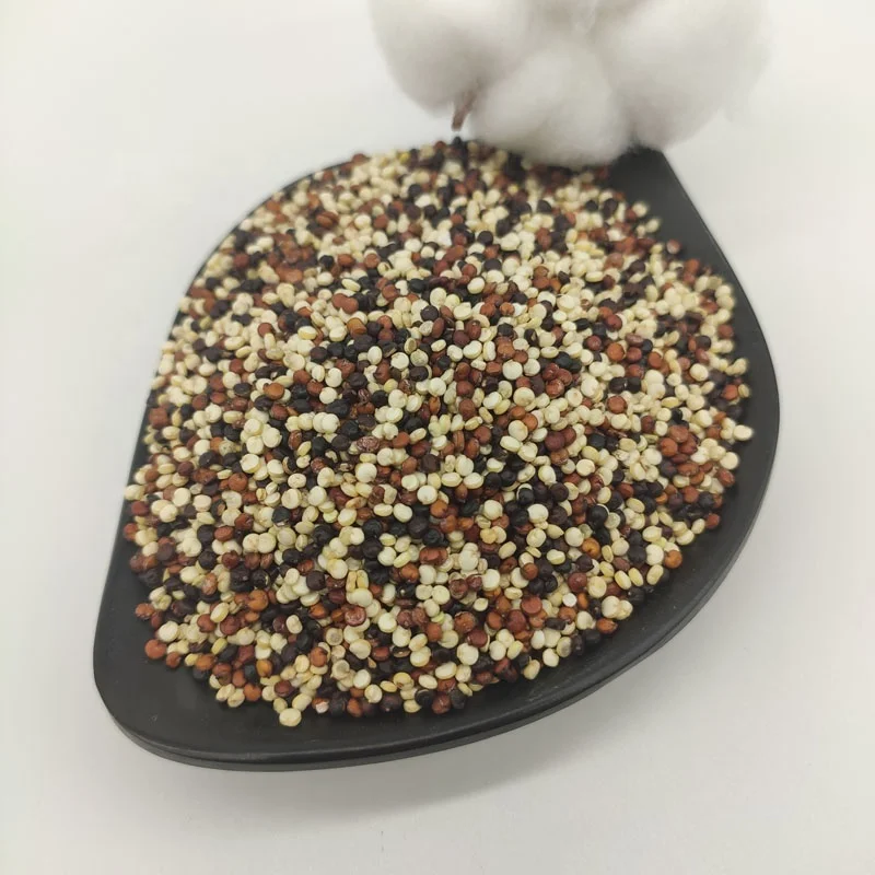 Factory Wholesale tri-color quinoa Seeds Organic Red / Black / White quinoa for sale