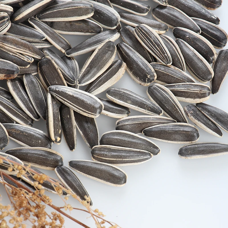 New Crop High Quality Sunflower Seeds T6/363/361 Supplier