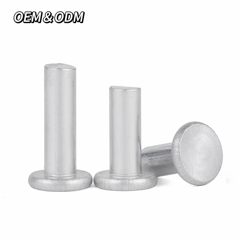 Best Selling Stainless Steel Rivet With Reasonable Price Diameter 3Mm 4Mm 5Mm 6Mm Round Head Solid Rivet