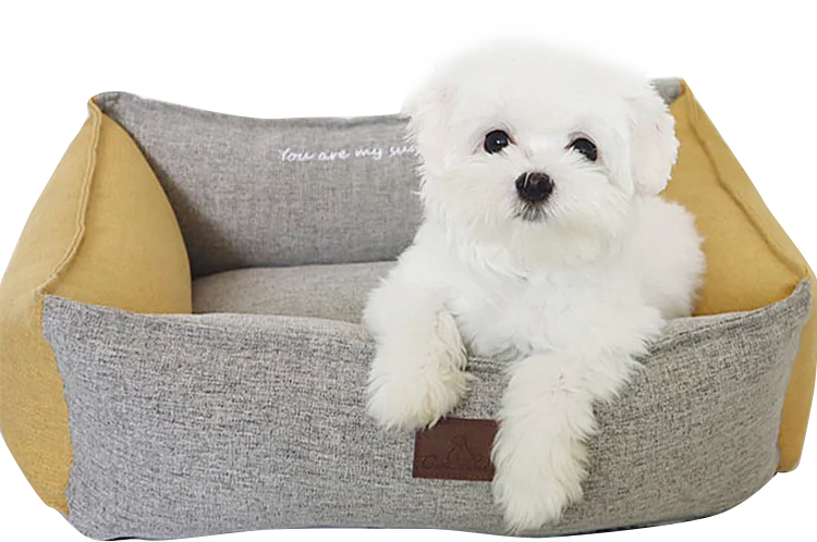 goodluck pet Removable pet beds classic dog beds factory wholesale
