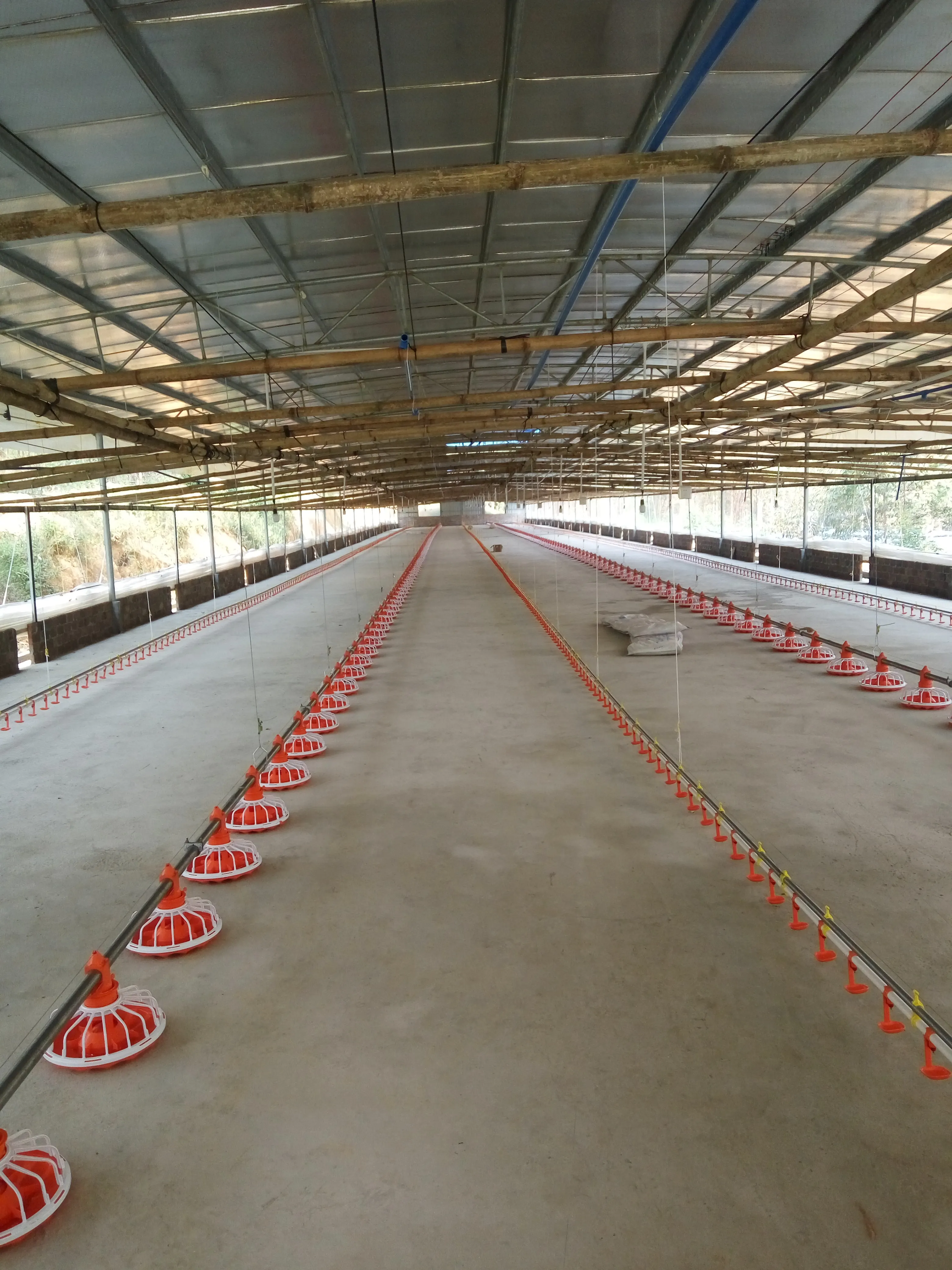 Complete Automatic Poultry Farm Equipment for Broiler /Breeder /Laying Hen