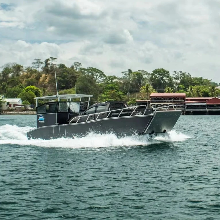 Морской король 10 м 33 фута 5-тонная Автомобильная транспортная Рабочая лодка