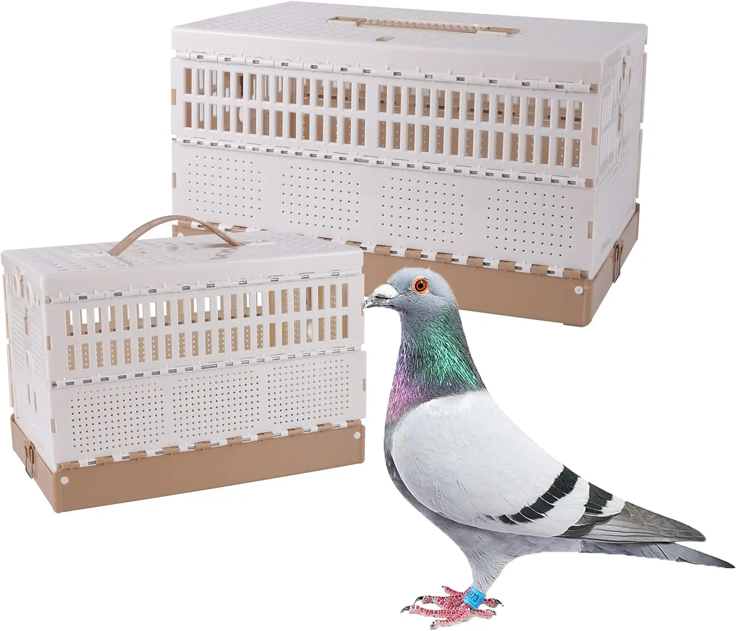 Pet Bird Travel Cage Folding Pigeon Box Easy to Clean for Training and Release Available for 6-8Pcs Pigeon Birds Small Animals