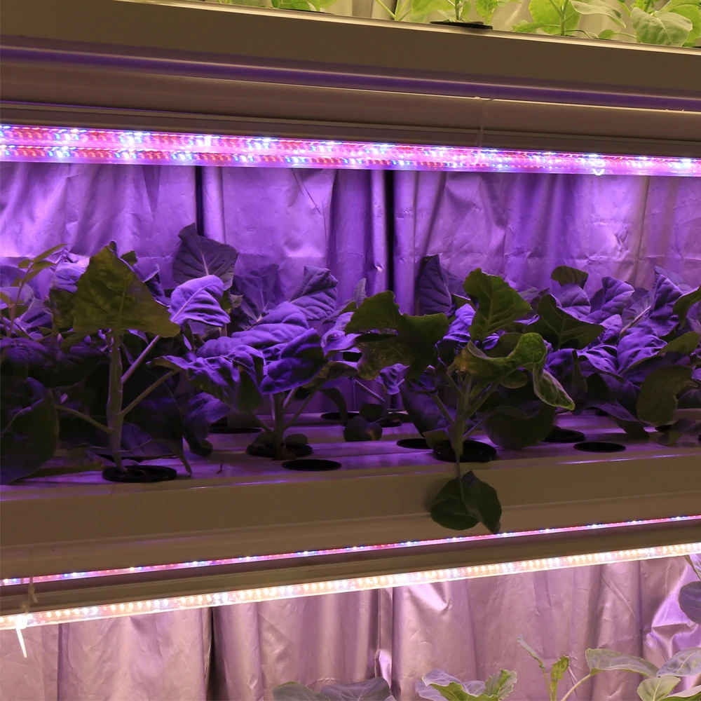 Sinjialight 45W 3FT T8 Hydroponic LED Grow Light Red Blue 90cm Plant Tube for Vertical Farming Green House Tent Veg Flower Fruit