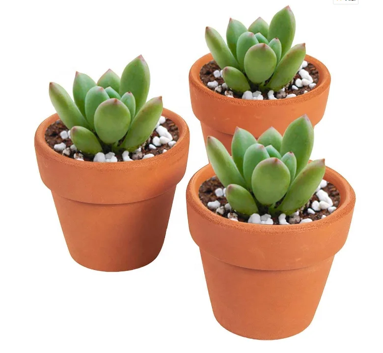Succulent Plant Pots 2 Inch Terracotta  Mini Pots Clay Red Planter with Drainage Hole Clay  Mini Pots