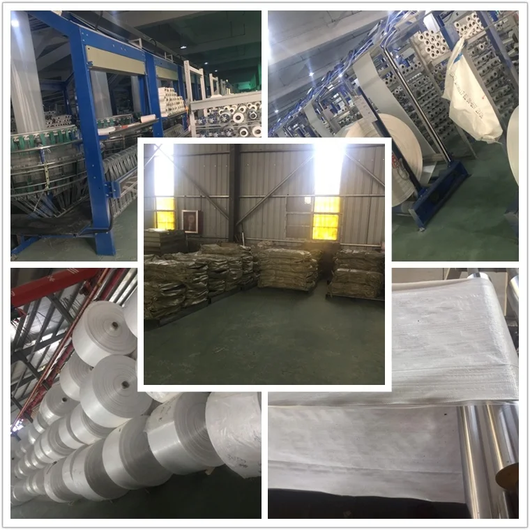 Plain PP Woven Packaging Bags 20kg Pp Woven Cement Sacks 25 Kg Polyethylene Bag Customize Security Agriculture Offset Printing